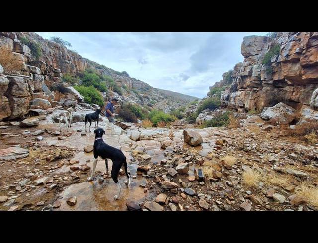 FARM FOR SALE IN CERES RURAL